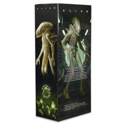 NECA Alien Translucent Prototype Alien 1/4 Scale Action Figure